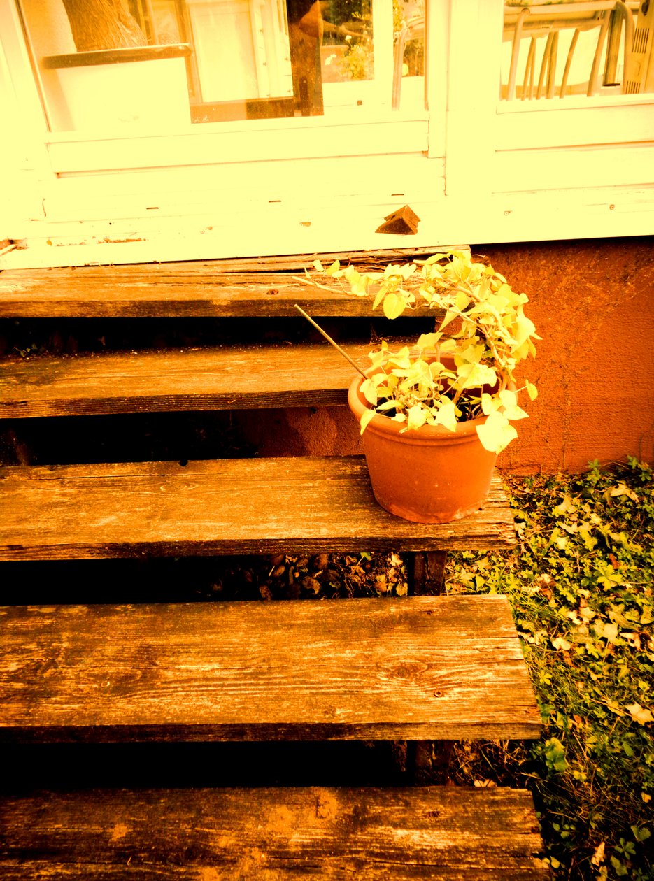 Verandatreppe von Martina Konitzky