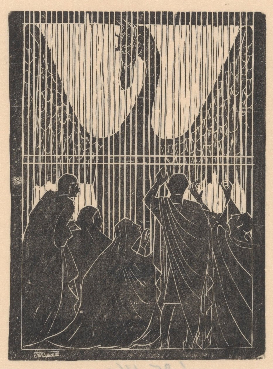 Schwan hinter Zaun von Mathieu Lauweriks