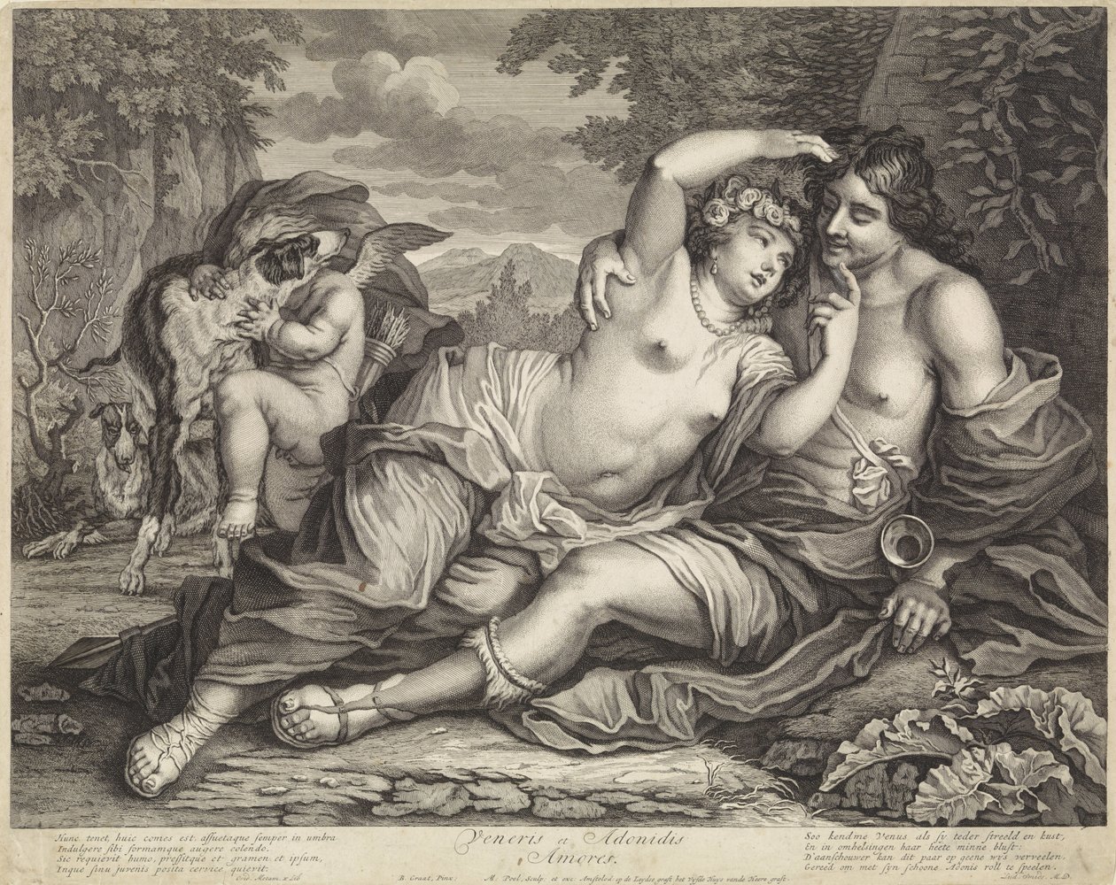Venus und Adonis von Matthijs Pool