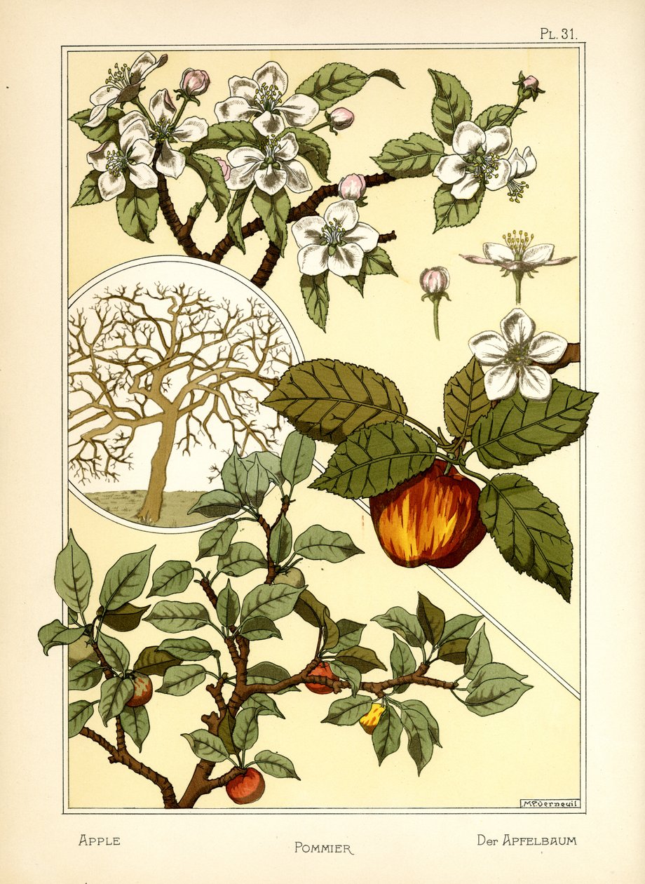 Der Apfelbaum von Maurice Pillard Verneuil