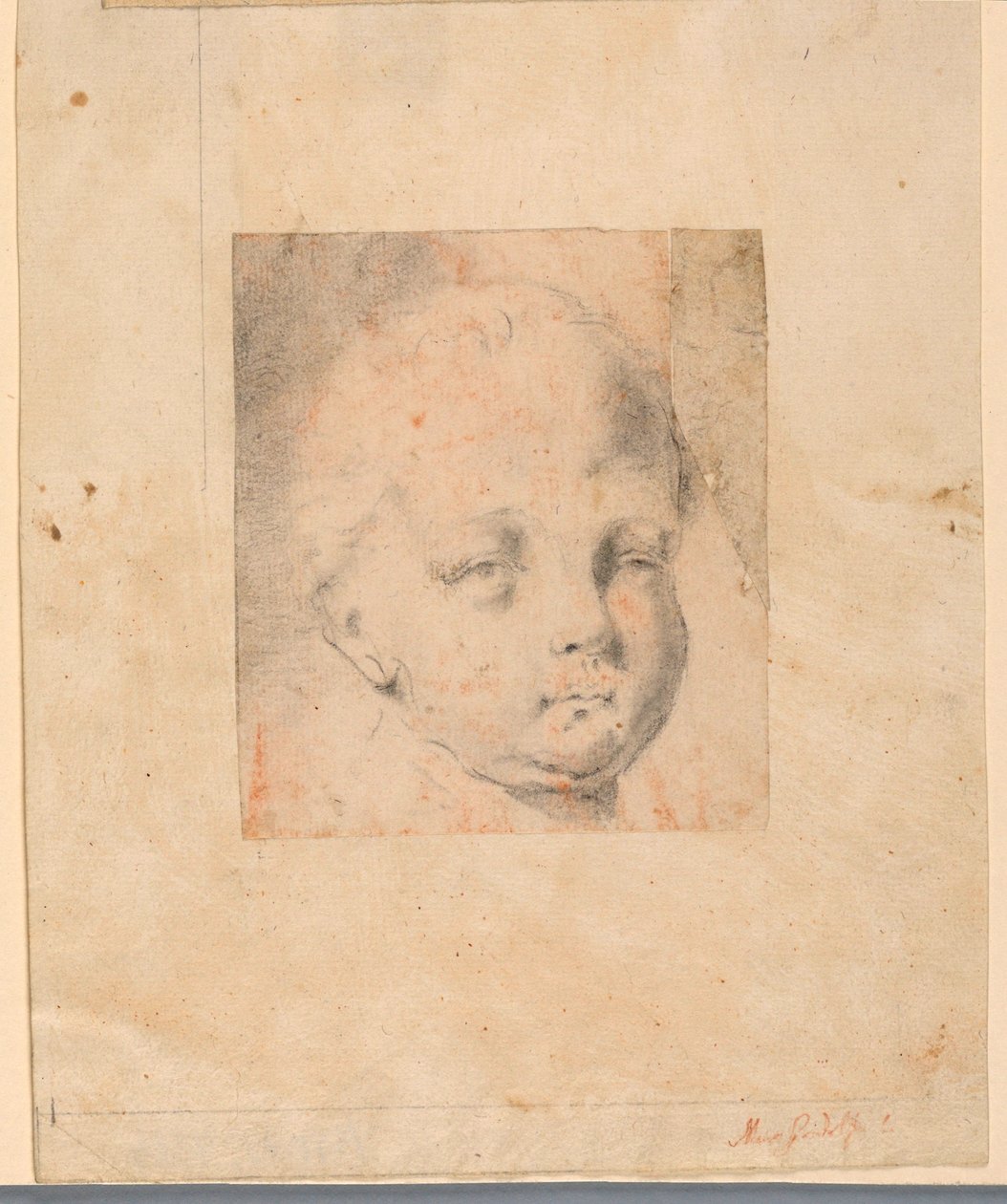 Zeichnung, Studie: Kopf eines Jungen, 1810–34 von Mauro Gandolfi