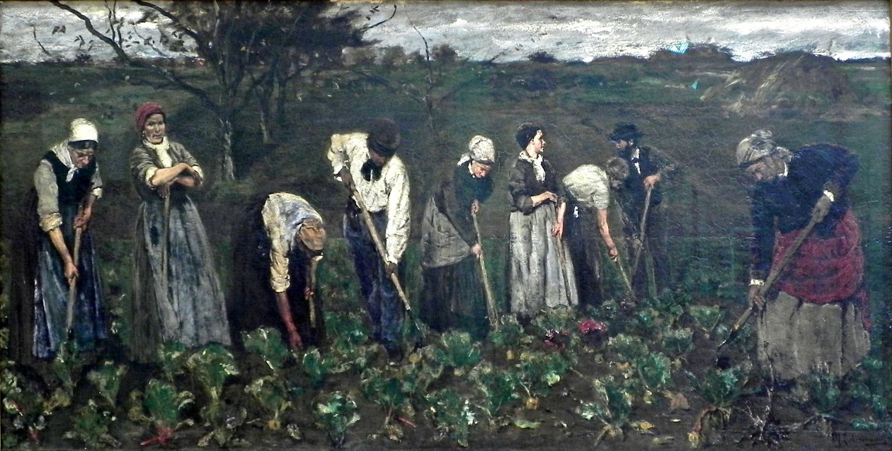 Arbeiter im Rübenfeld von Max Liebermann