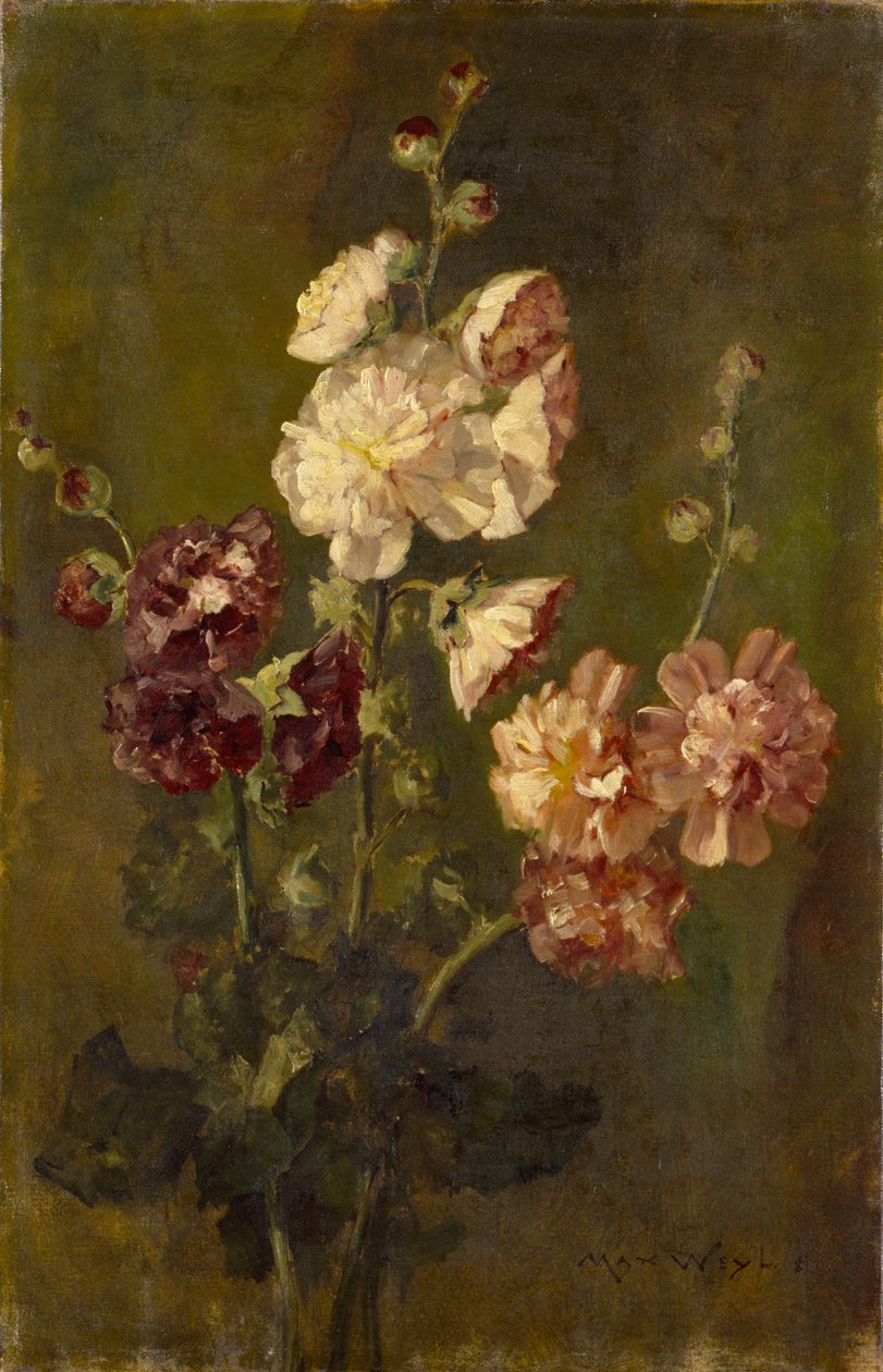 Stockrosen von Max Weyl