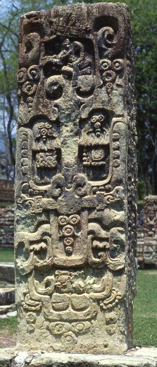 Rückseite der Stela B, Copan, Spätklassische Periode, 731 n. Chr. von Mayan