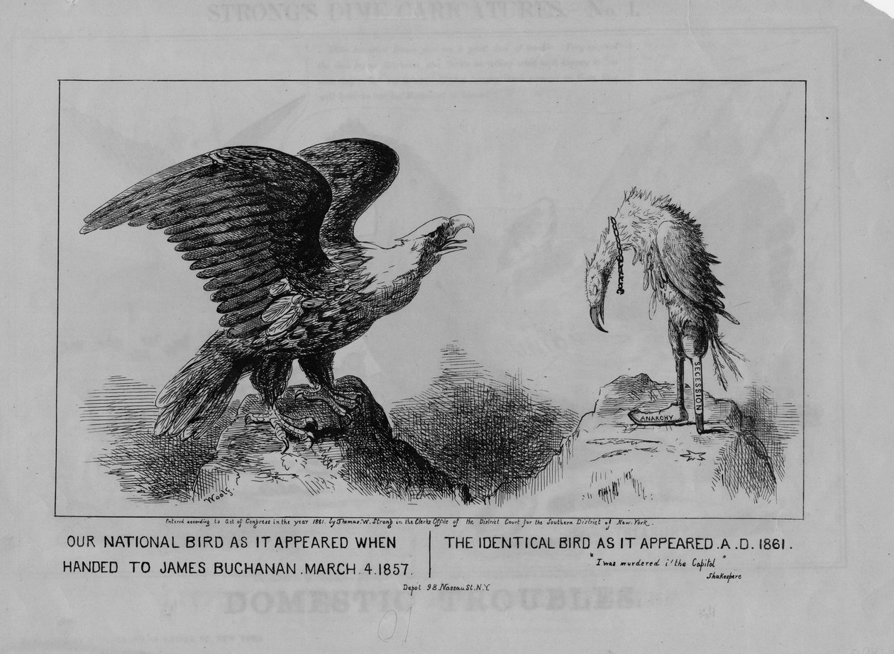 Unser Nationalvogel, veröffentlicht 1861 von Michael Angelo Woolf