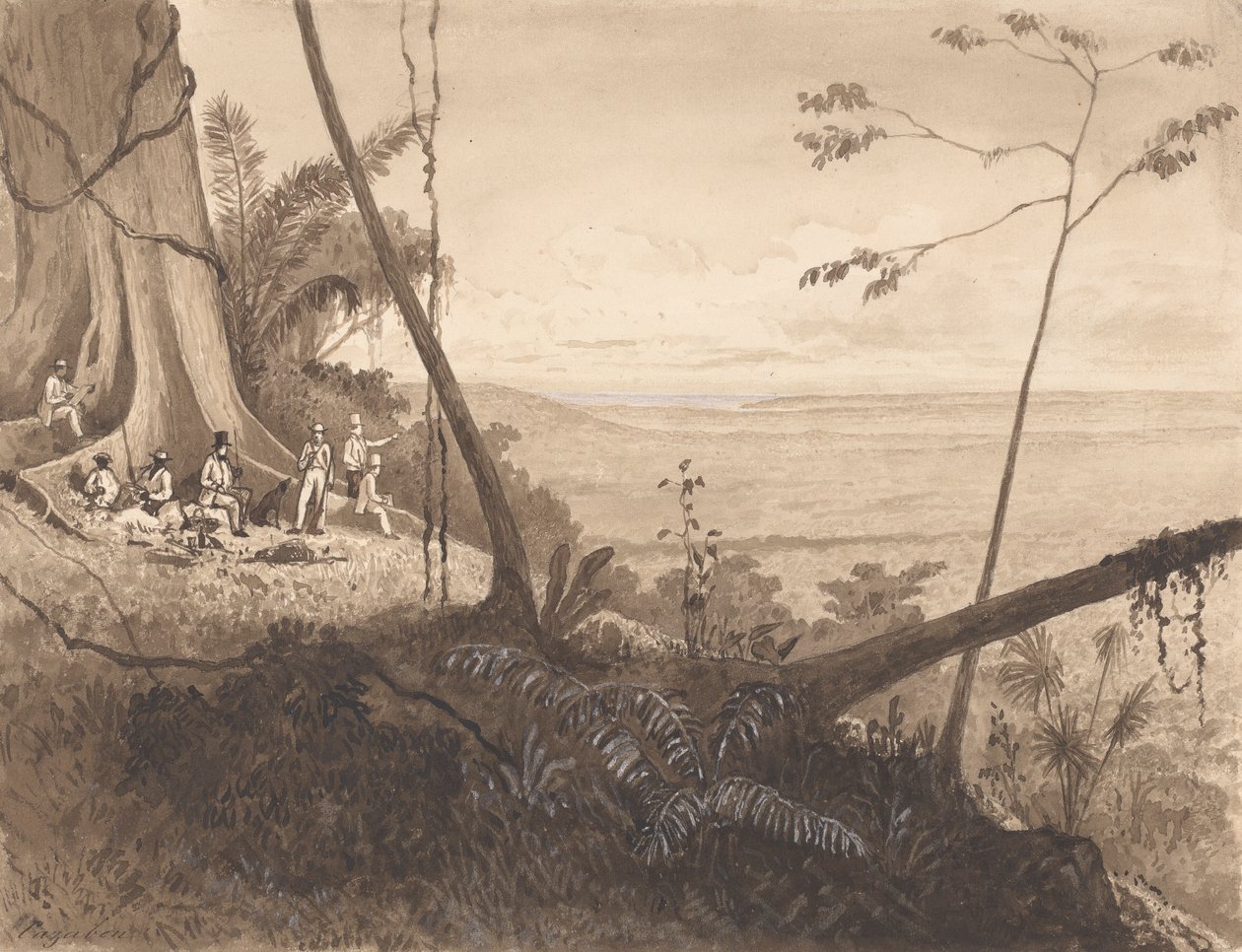 Cedar Point, Mount Tamana von Michel Jean Cazabon
