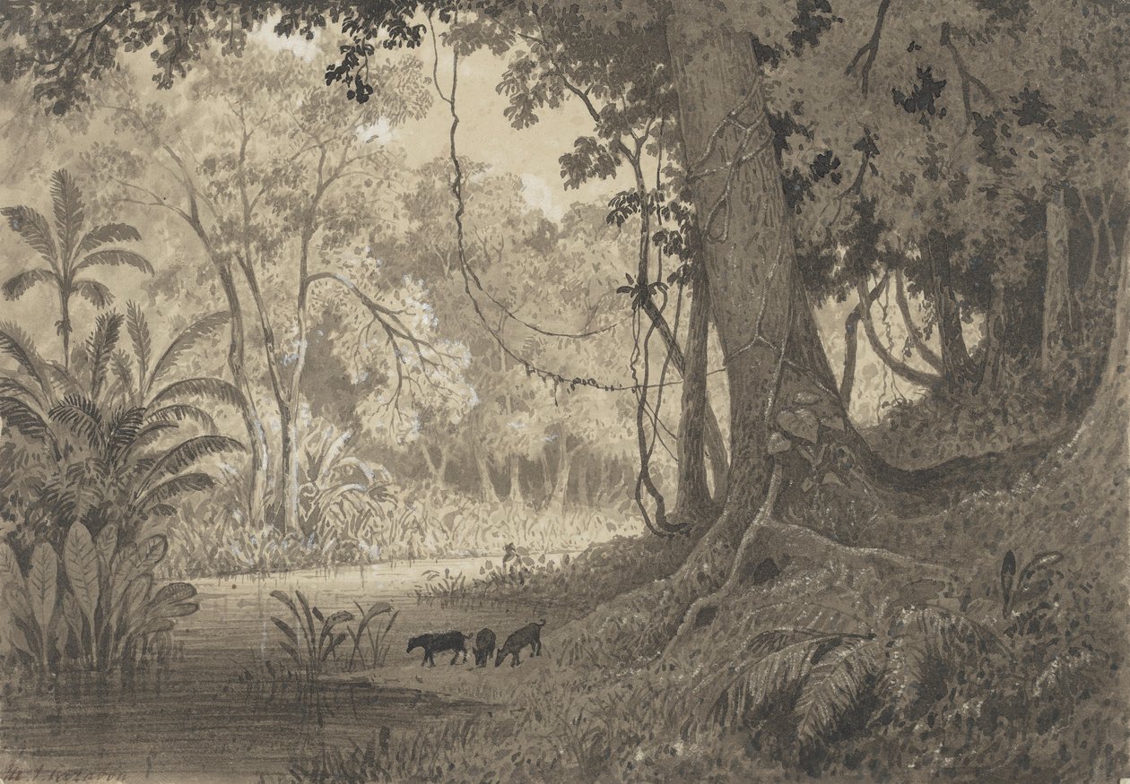 Waldlandschaft bei Tamana von Michel Jean Cazabon