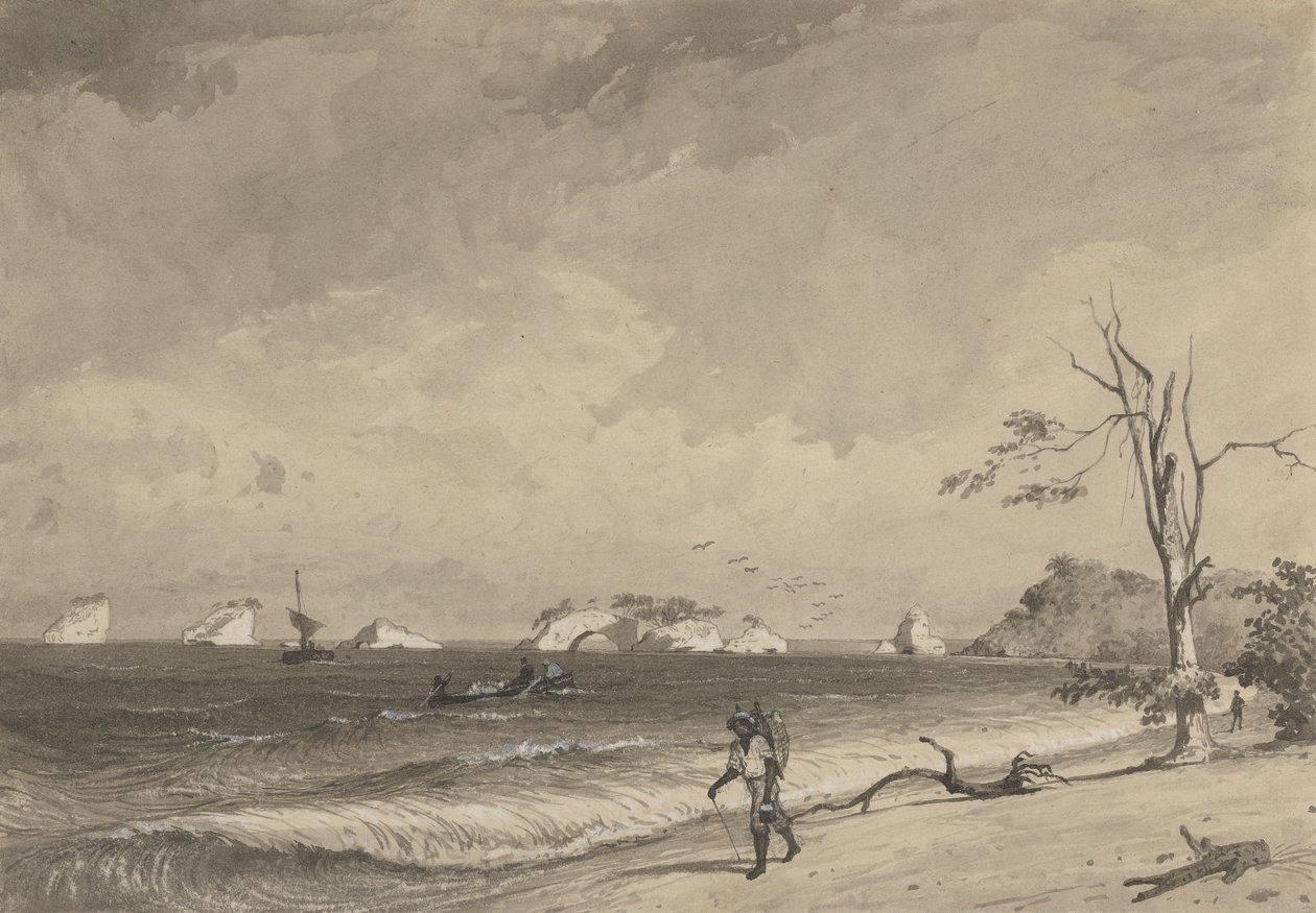 Los Gallos, Icacos Bay von Michel Jean Cazabon