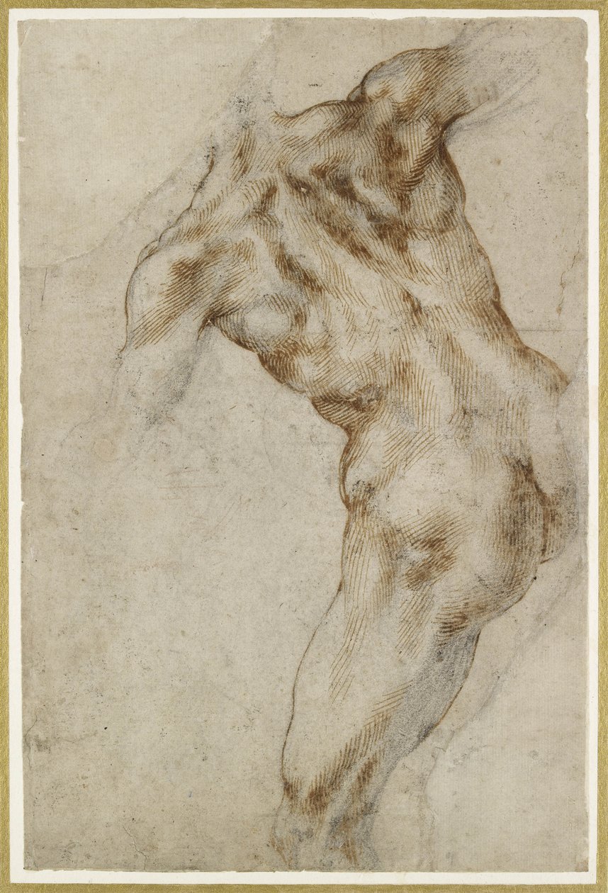 Männlicher Akt-Torso von Michelangelo Buonarroti