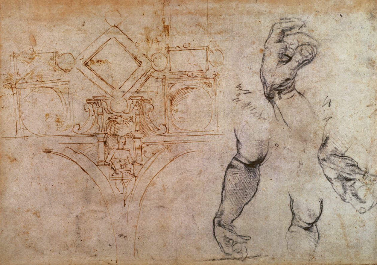 Entwurf für die Decke der Sixtinischen Kapelle, c.1508 von Michelangelo Buonarroti