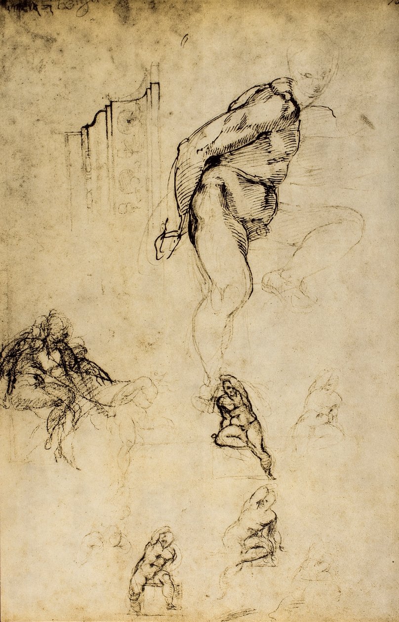 Studie männlicher Formen, Zeichnung von Michelangelo. Casa Buonarroti, Florenz von Michelangelo Buonarroti