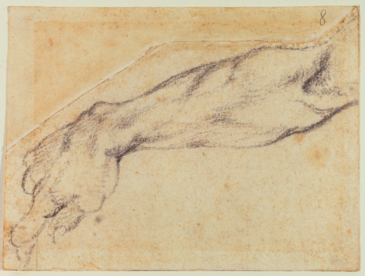 Armstudie für eine Figur der Sixtinischen Kapelle von Michelangelo Buonarroti
