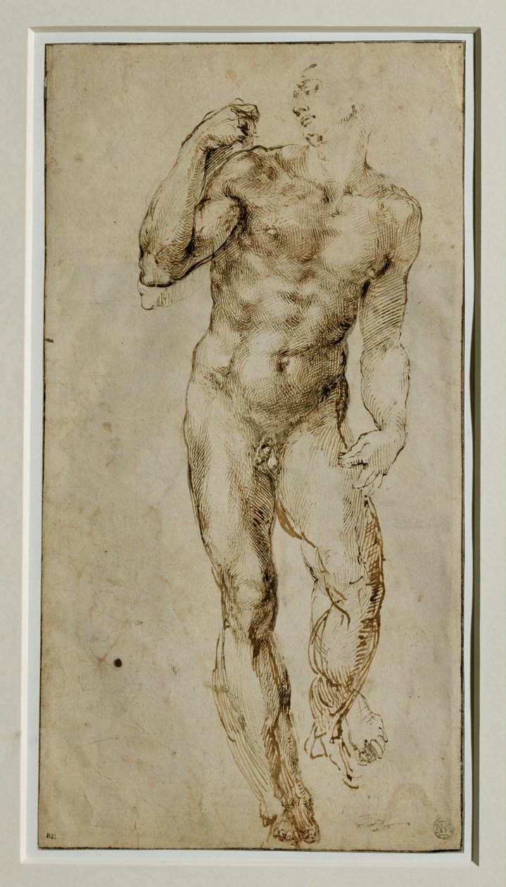 Männlicher Akt, Frontalansicht, um 1502-1506 von Michelangelo Buonarroti