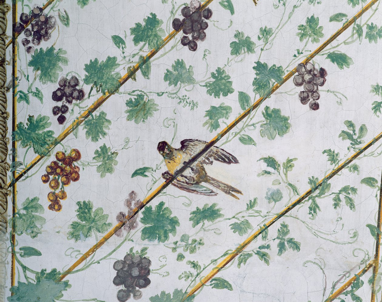 Detail des Gewölbes des Kellers, Villa Medicea di Careggi (Foto) von Michelozzo di Bartolommeo