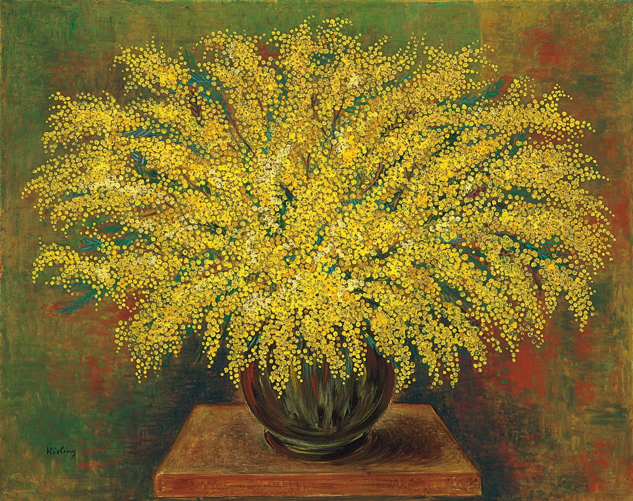 Mimosen von Moise Kisling