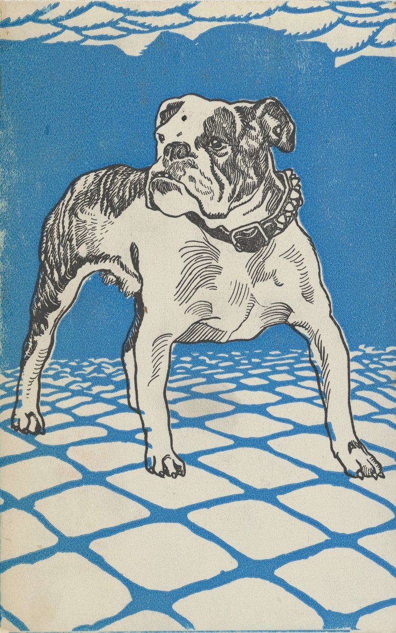 Bulldogge, 1912 von Moritz Jung