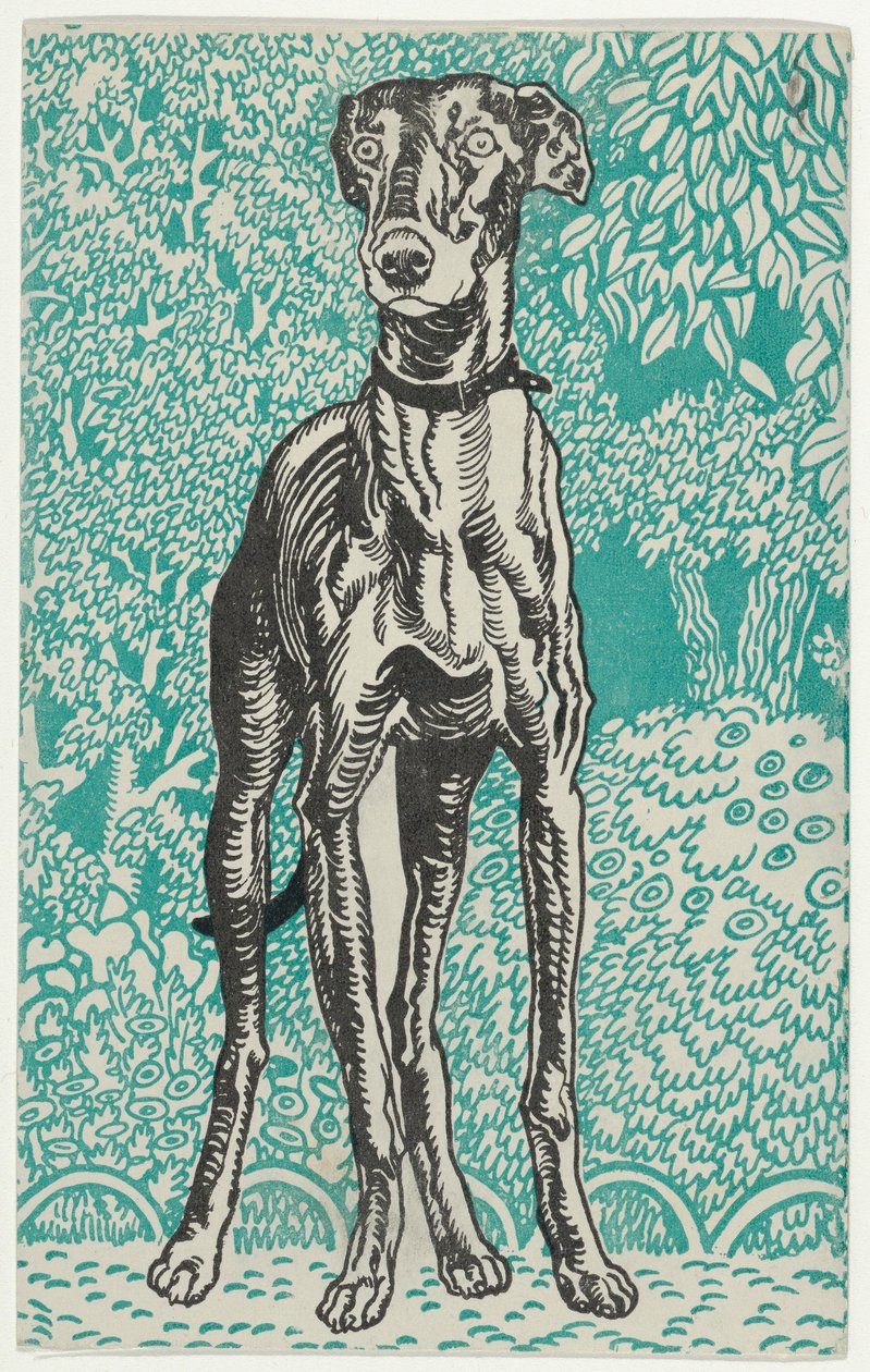 Windhund, 1912 von Moritz Jung