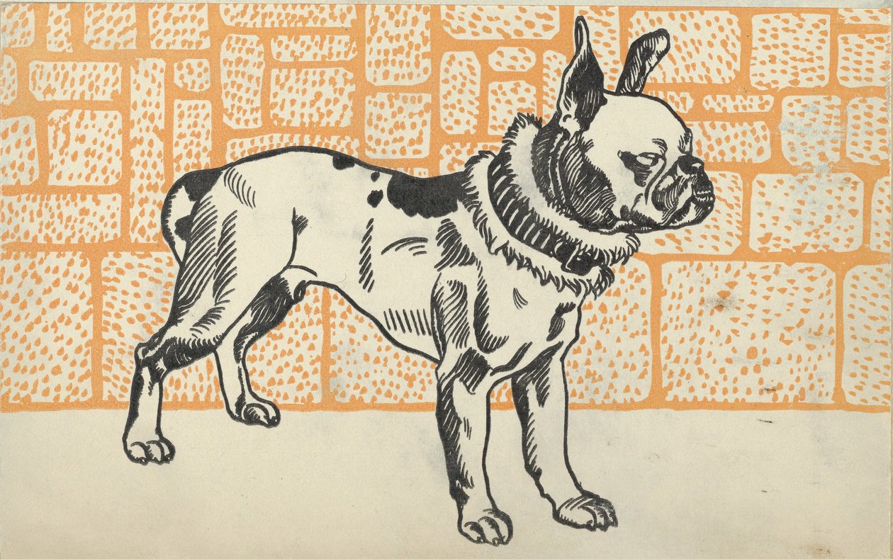 Pitbull Terrier von Moritz Jung