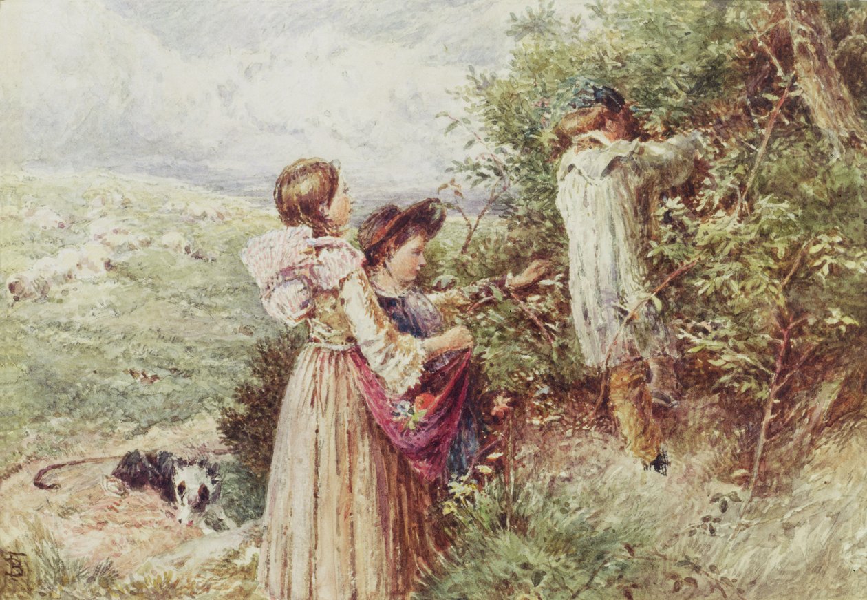 Kinder pflücken Brombeeren, 19. Jahrhundert von Myles Birket Foster