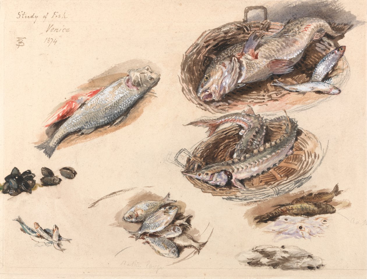 Studie von Fischen, Venedig von Myles Birket Foster