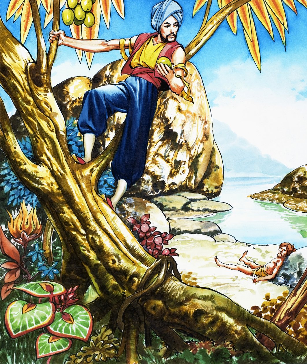 Sindbad der Seefahrer von Nadir Quinto