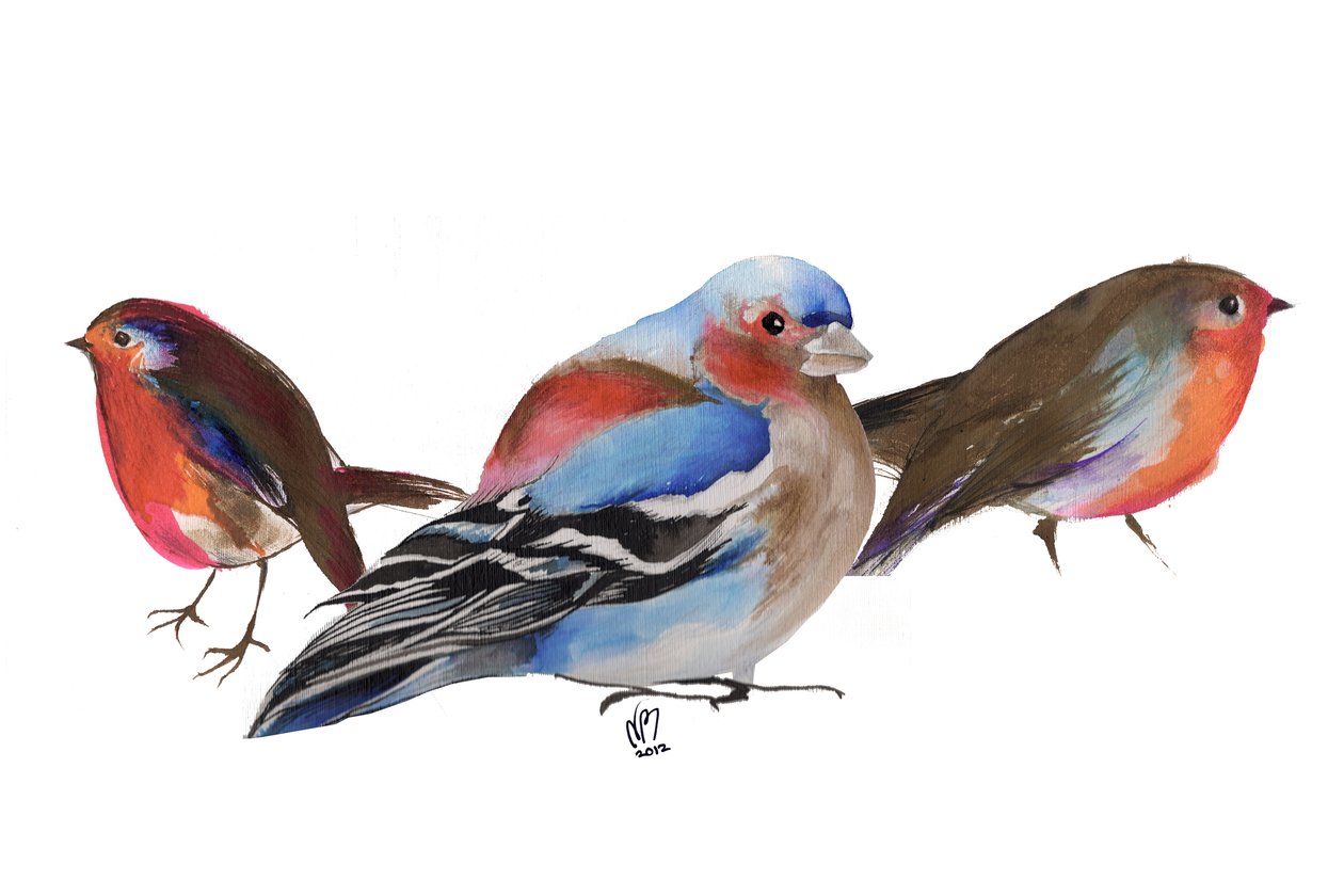 Vögel einer Feder, 2011, Tinte auf Papier von Nancy Moniz Charalambous