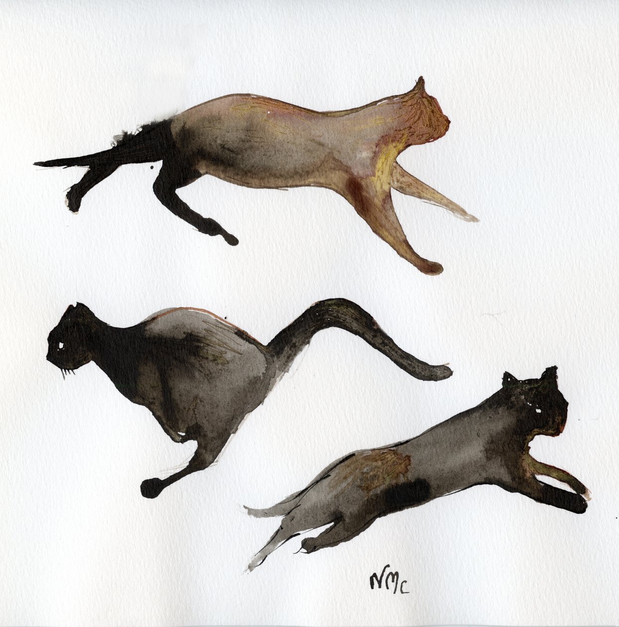 Lauf Katze Lauf von Nancy Moniz Charalambous