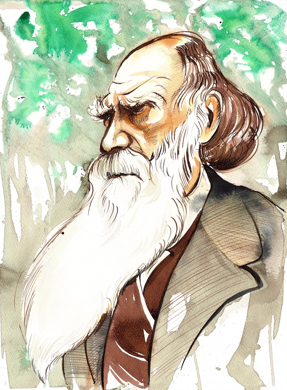 Charles Darwin (englischer Naturforscher und Schriftsteller, 1809-82) Porträt von Neale Osborne