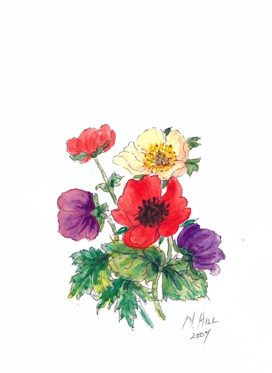 Anemonen, 2007 von Nell Hill