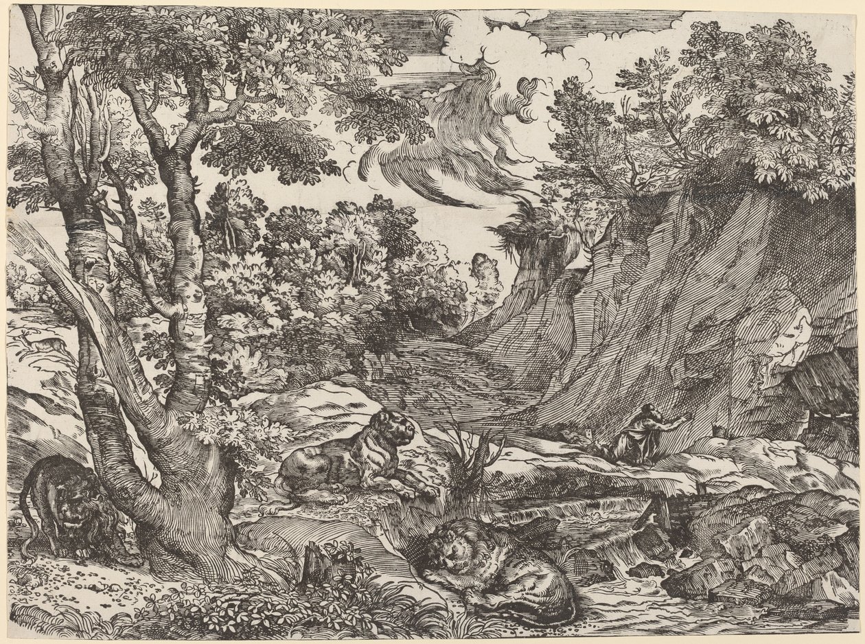 Heiliger Hieronymus in der Wildnis von Niccolò Boldrini after Titian