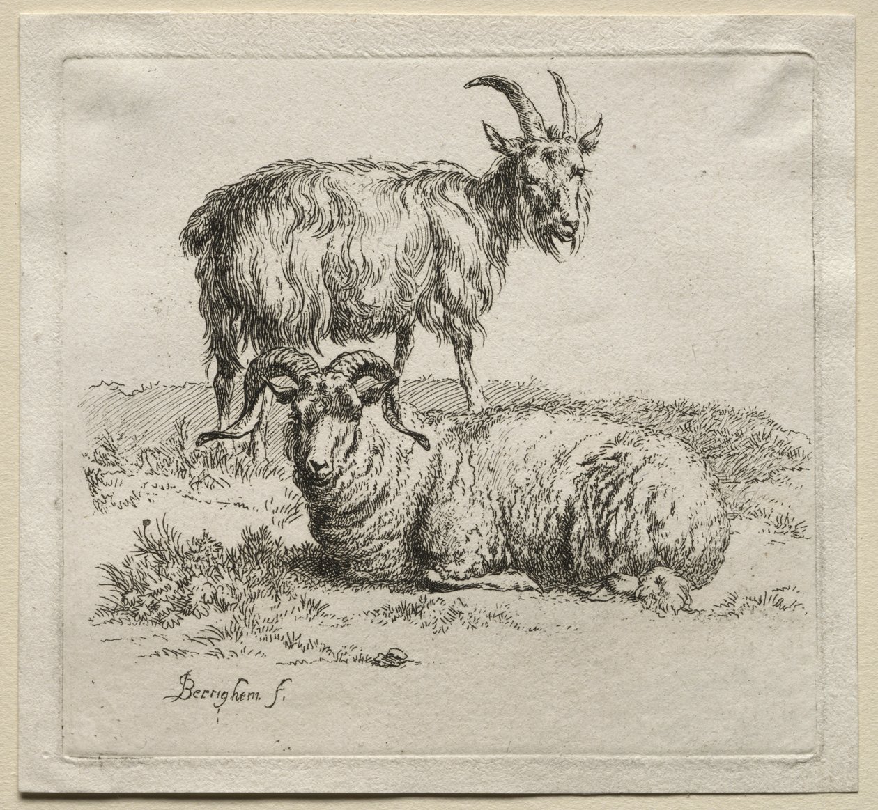 Animalia: Widder und Ziege von Nicolaes Berchem
