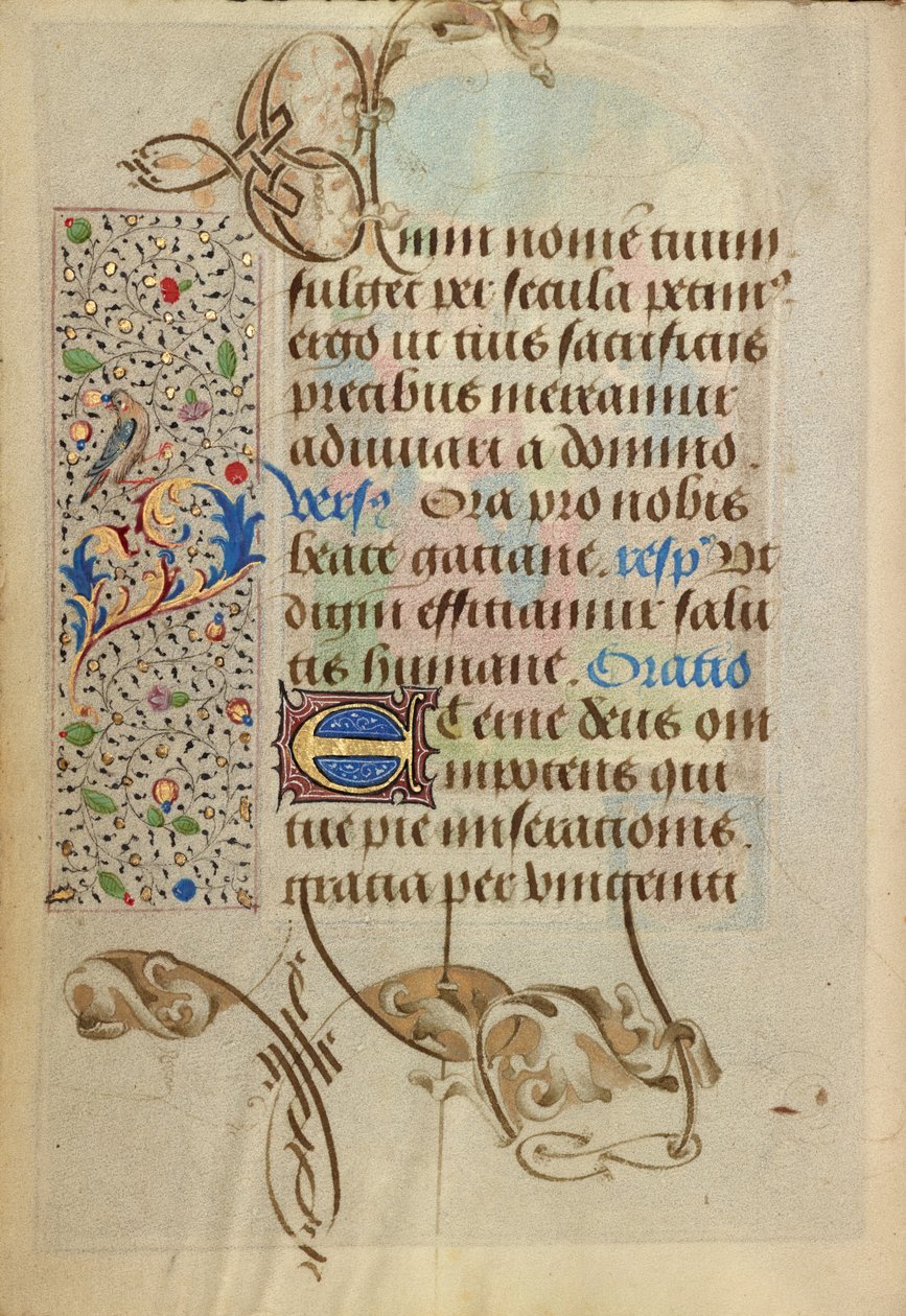Dekorierte Textseite von Nicolas Spierinc
