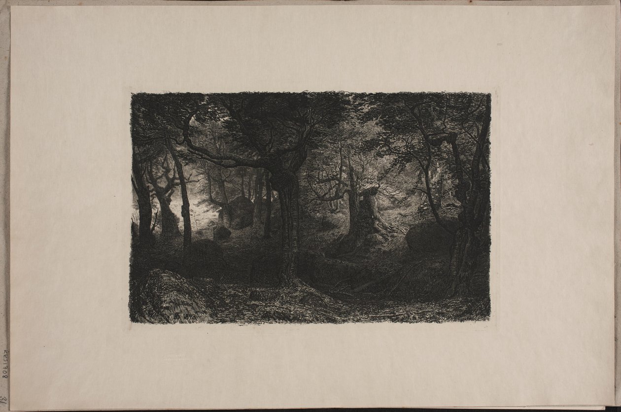 Der Trollwald von Niels Skovgaard