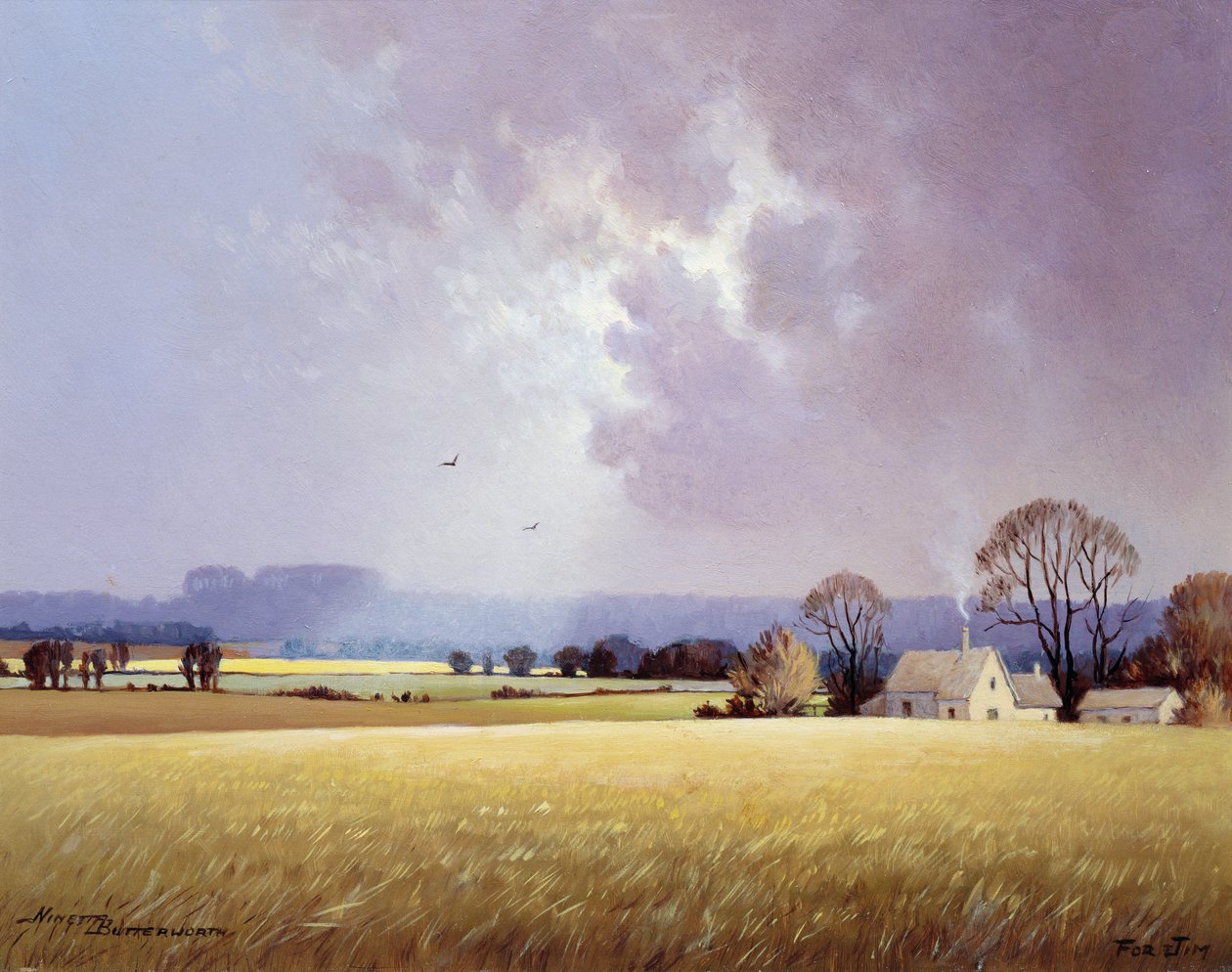 Herbstsonnenlicht, 1982 von Ninetta Butterworth
