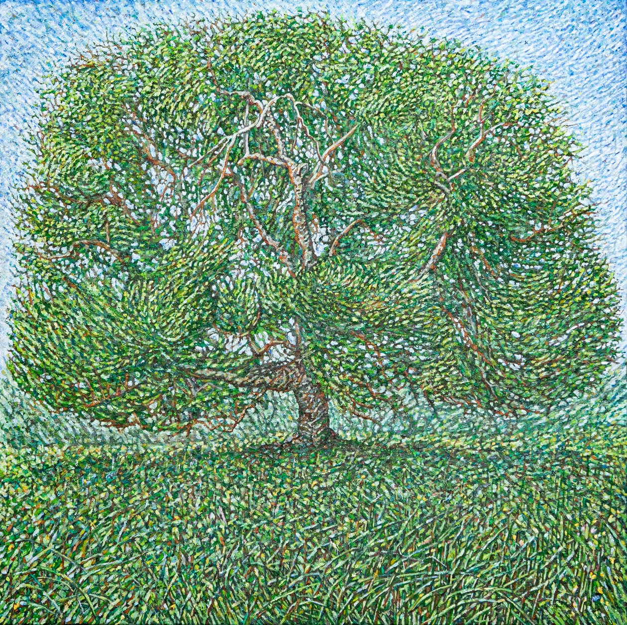 Langer Sommerbaum, 2024 von Noel Paine