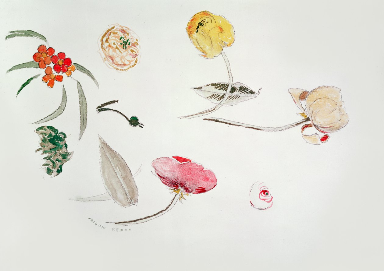 Blumenstudie von Odilon Redon