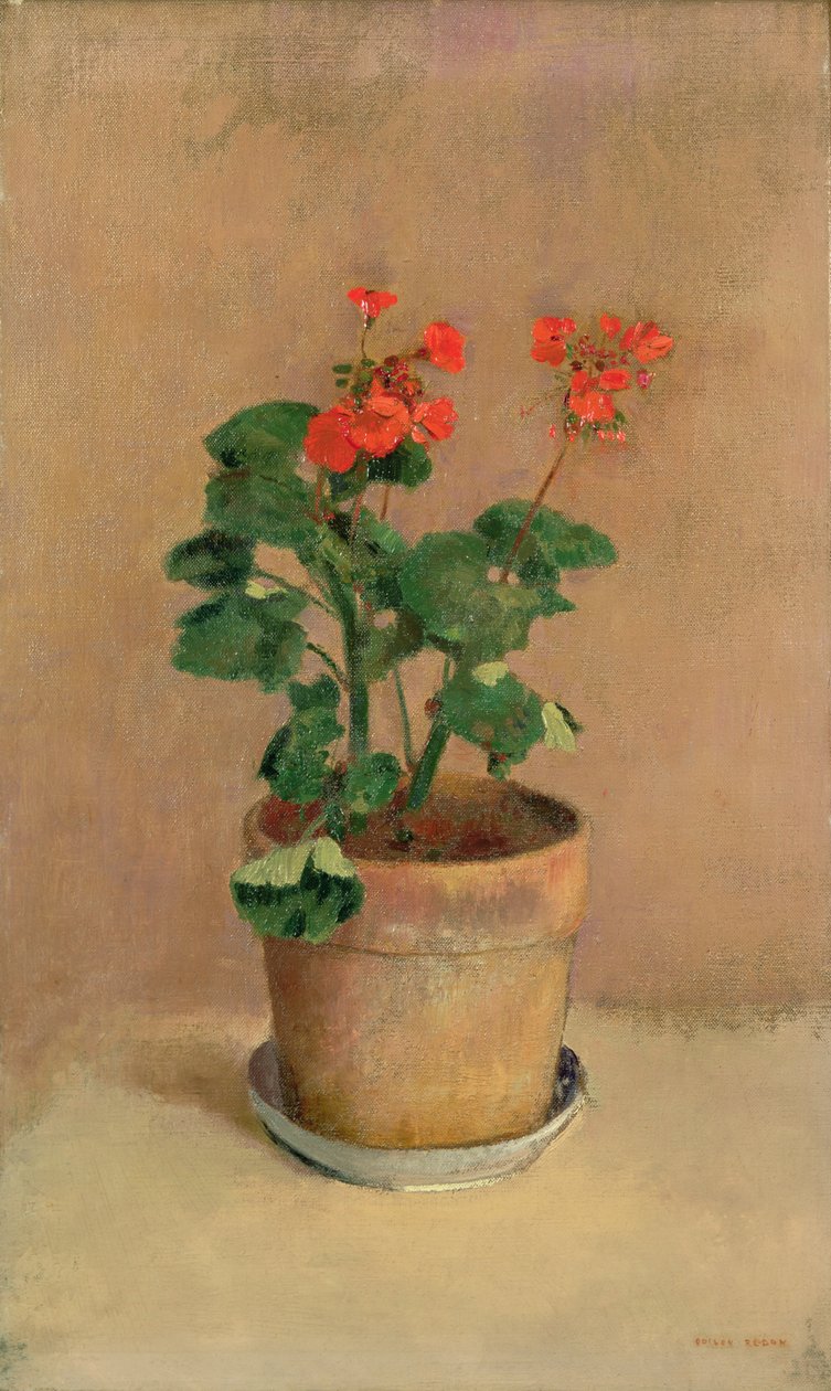 Geranien in einem Topf, ca. 1905 von Odilon Redon
