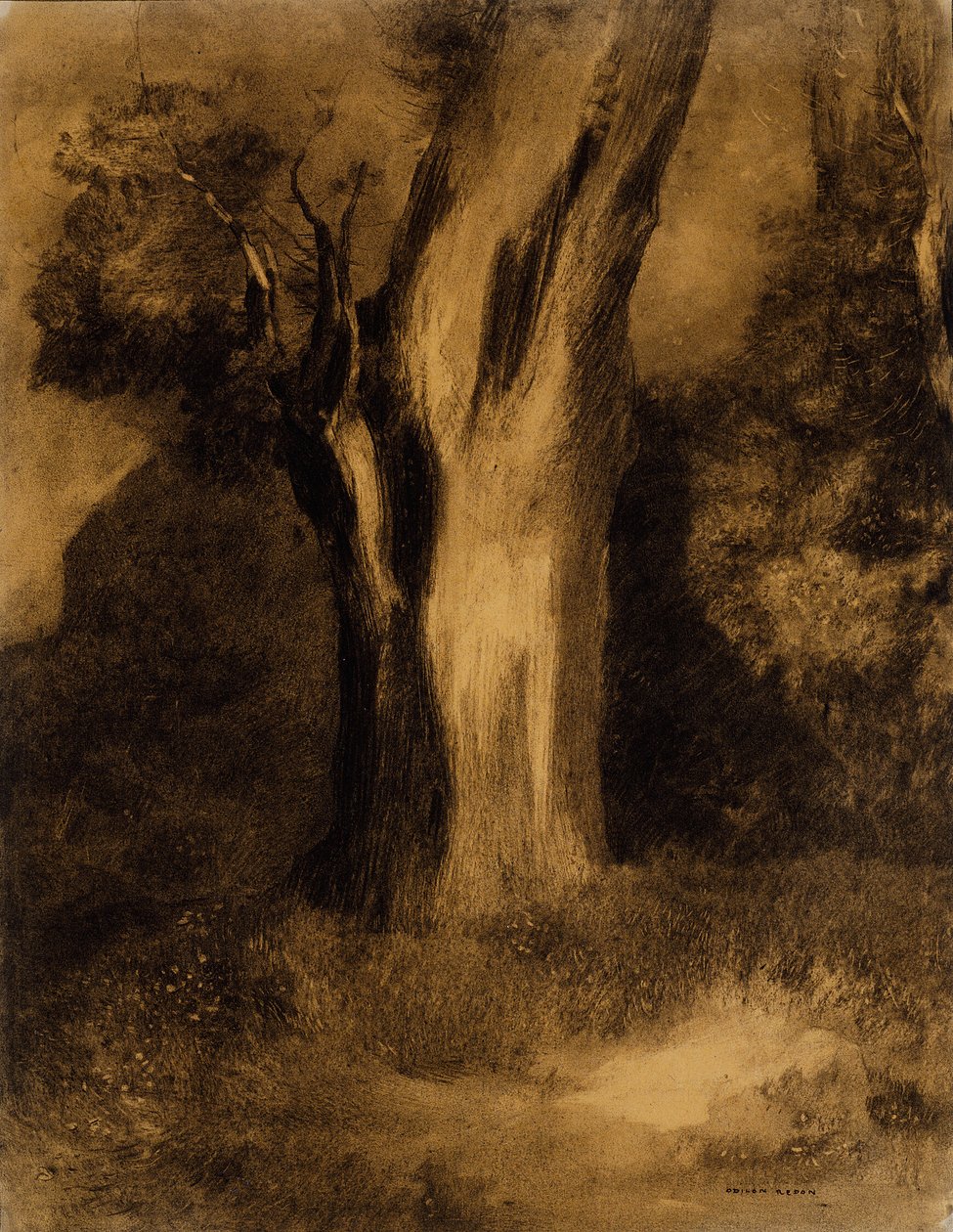 Baum von Odilon Redon