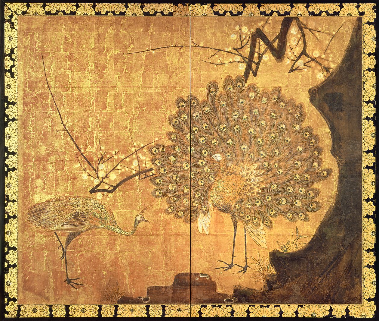 Pfauen, Edo-Periode von Ogata Korin