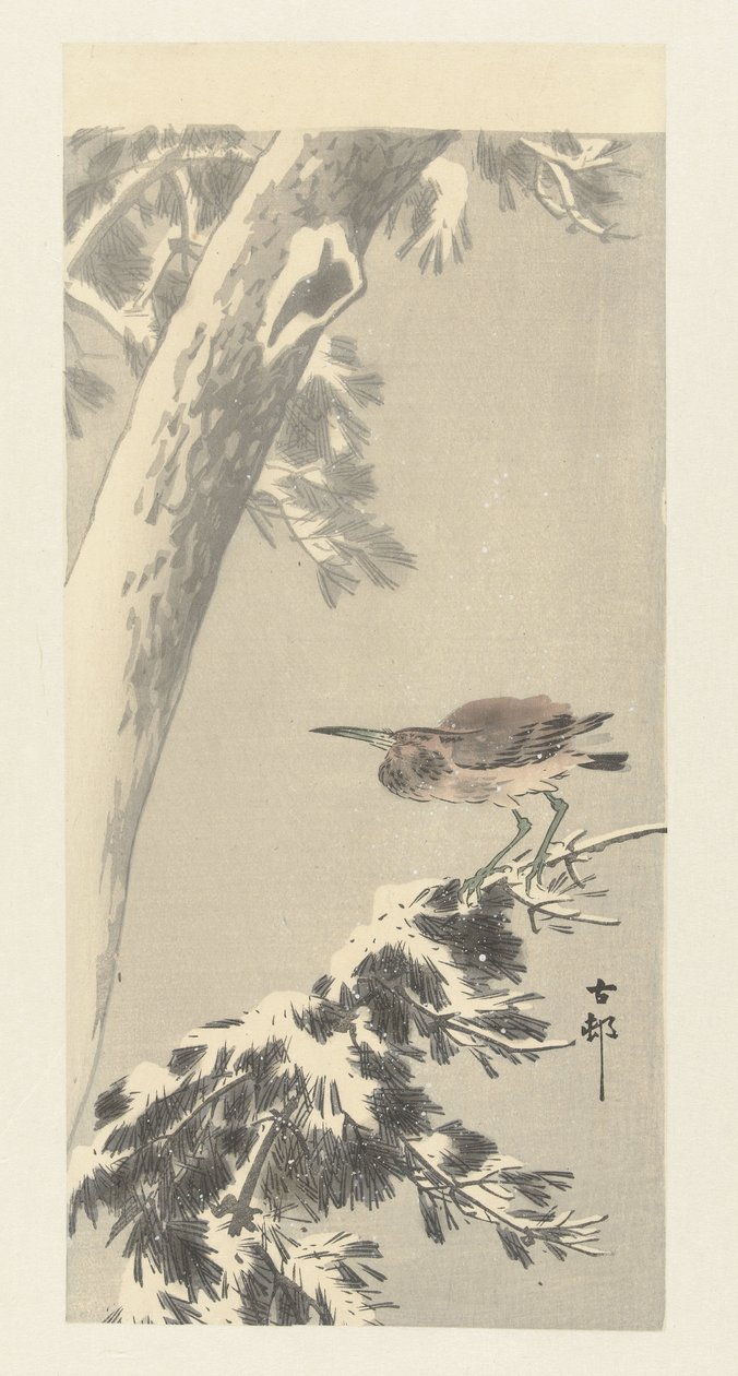 Indischer Nachtreiher auf verschneitem Ast von Ohara Koson