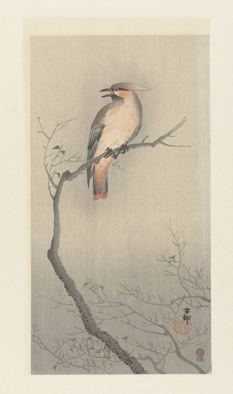 Japanische Seidenschwanz auf Ast von Ohara Koson