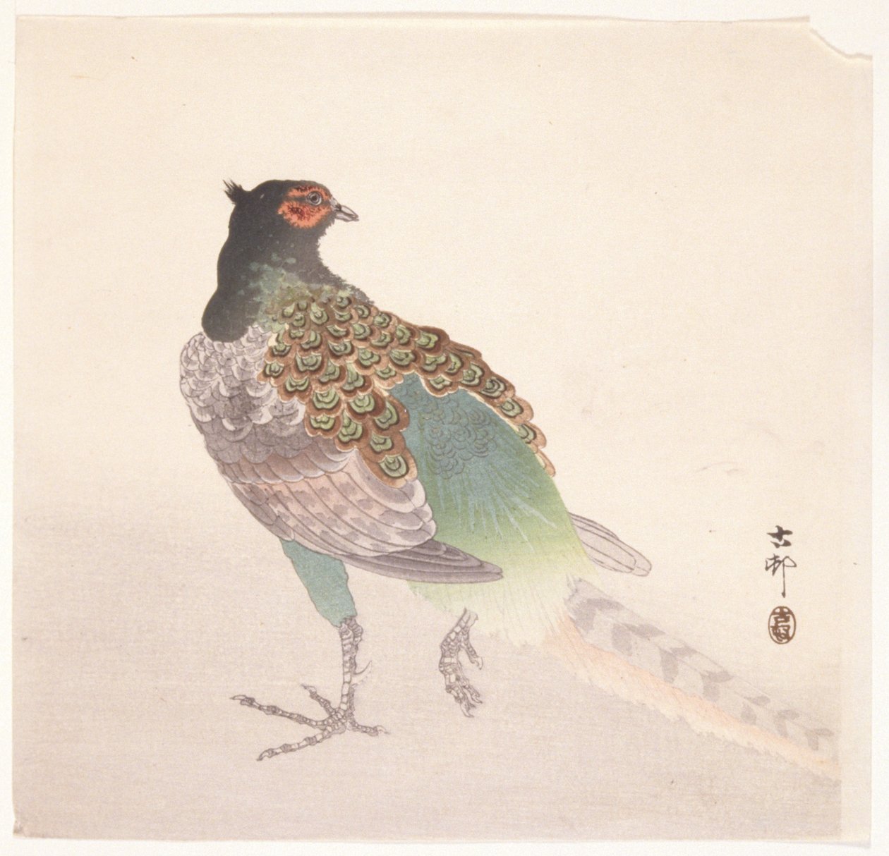 Fasan von Ohara Koson