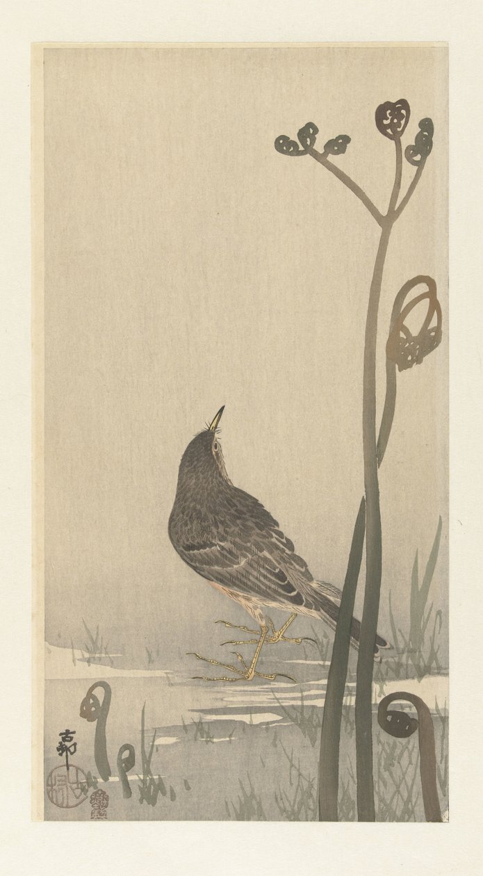 Pieper am Wasserufer von Ohara Koson