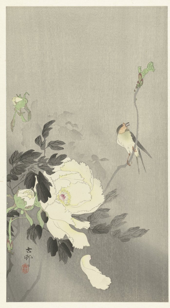 Schwalbe mit Pfingstrose von Ohara Koson