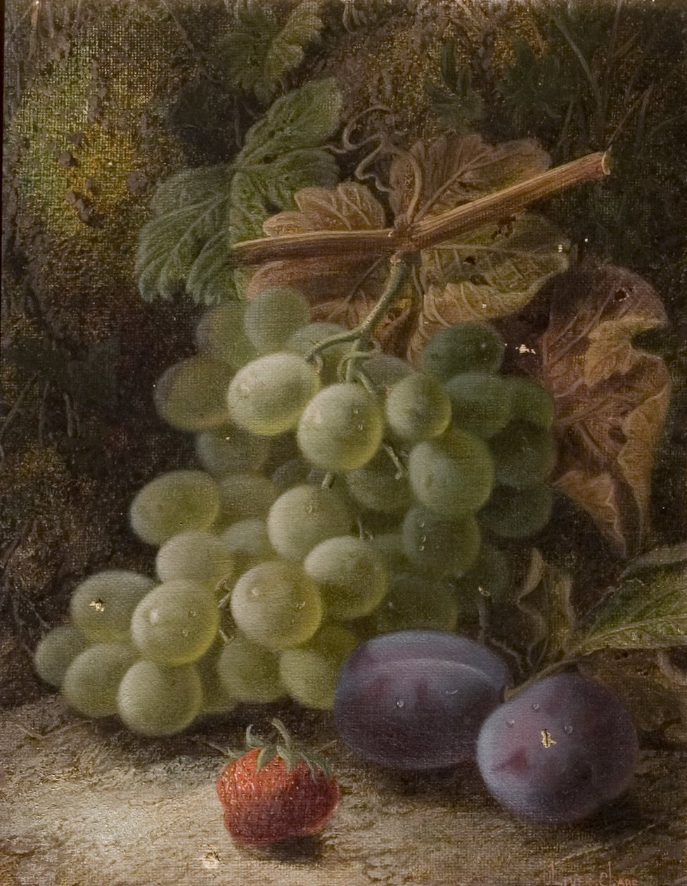 Traubenbündel, 1893 von Oliver Clare