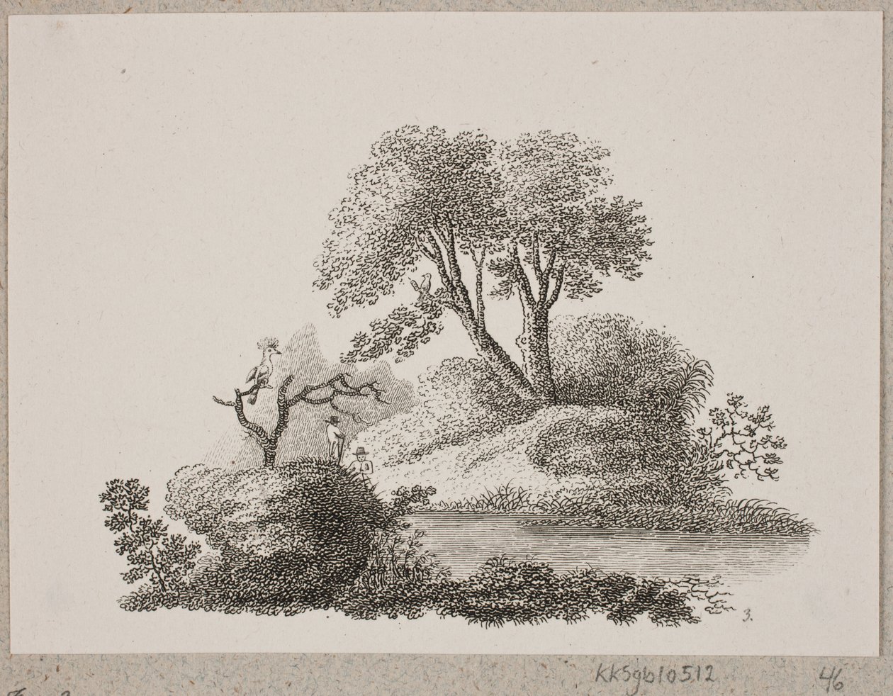 Der Wiedehopf und die Nachtigall von Oluf Olufsen Bagge