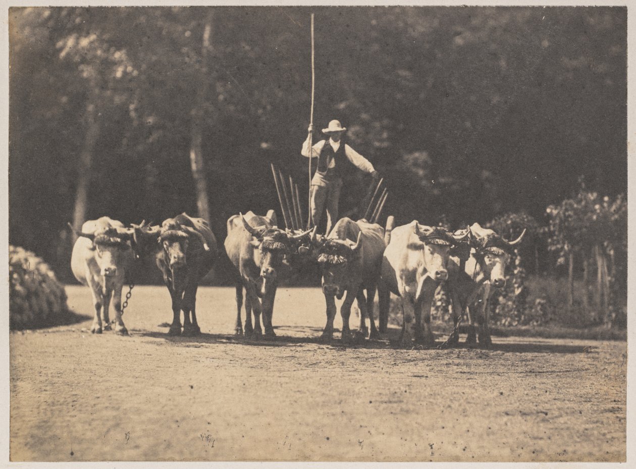 Sechsergespann mit ihrem Fahrer von Olympe Aguado
