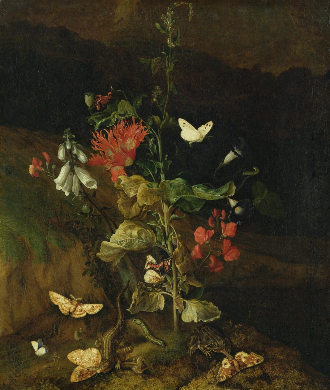 Blumenstudie von Otto Marseus  van Schrieck