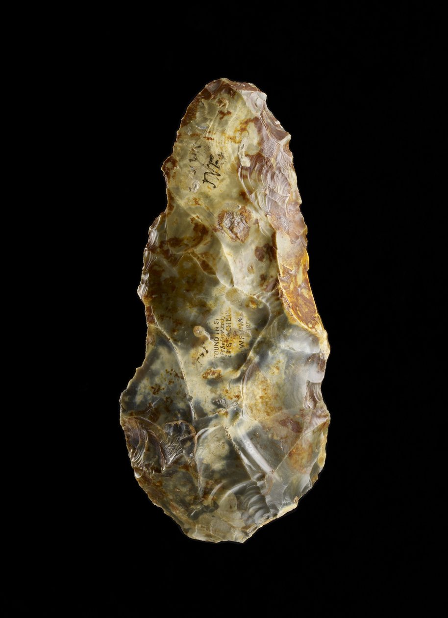 Handaxt (Feuerstein) von Paleolithic