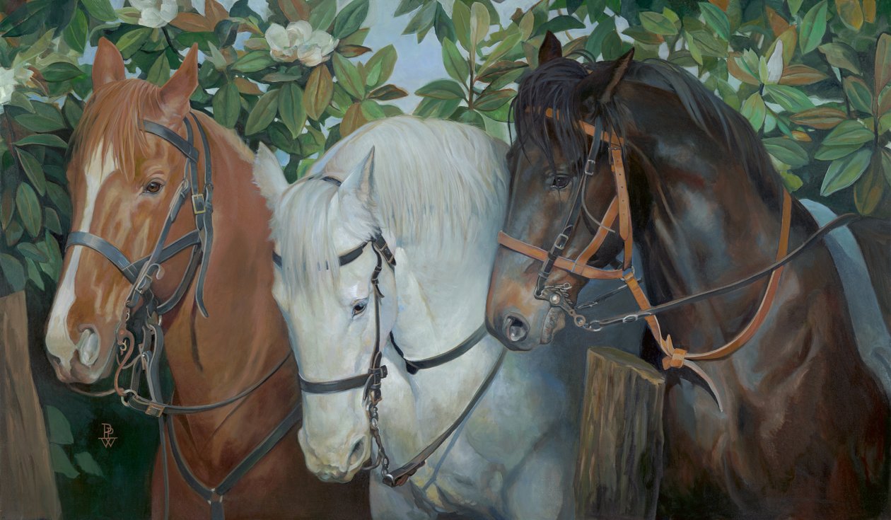 Gerettet von Pamela Patrick White